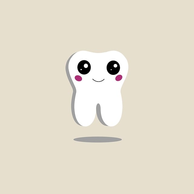 라이나 치아보험